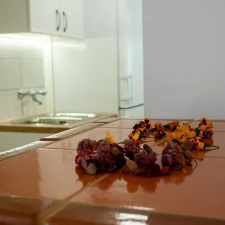 Rezidenca Mitja Casa vacanze