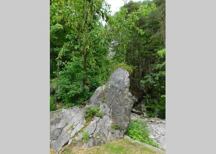 Rezidenca Mitja Tatil Evi *