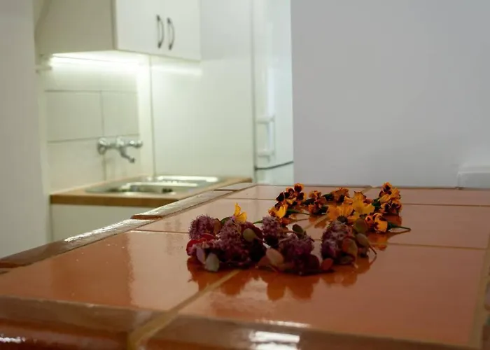 Rezidenca Mitja Prázdninový dům